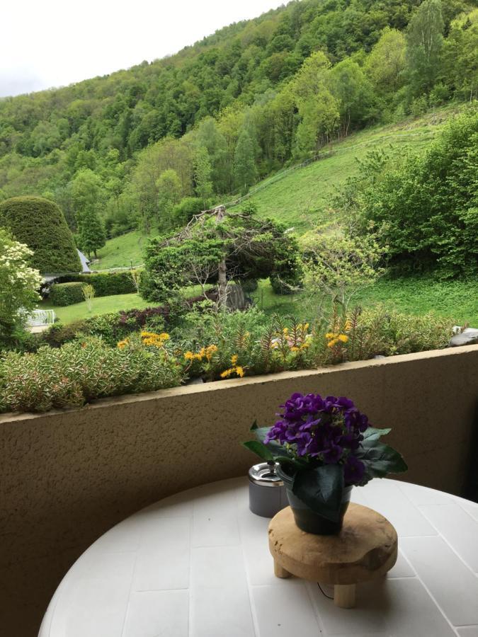 Appartement Vue Montagne Avec Wifi Saint-Lary-Soulan Kültér fotó